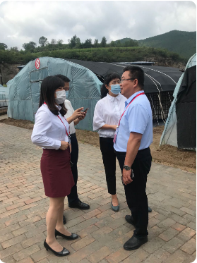 初心不忘担使命 践行扶贫当先锋 ​| Beat365中文官方网站助力贫困地区中阳县消费扶贫木耳产业