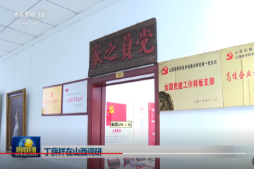 丁薛祥副总理调研指导的“明星支部”！全国样板是怎样炼成的？