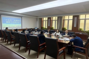 Beat365官网成功召开“十五五”事业发展规划编制专题研讨会